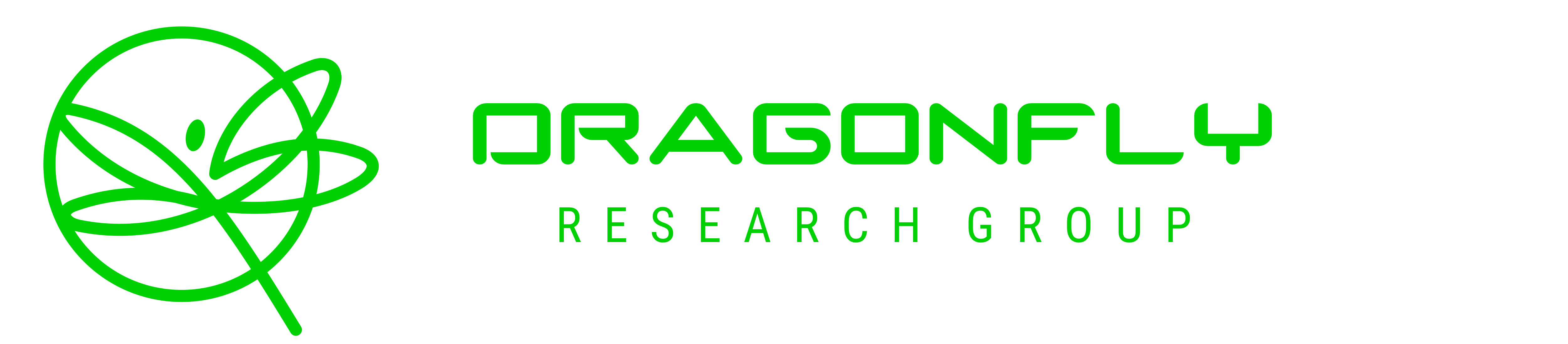 Dragonfly Research Group Logo